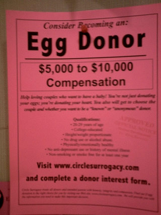 Illustration for article titled The Risks (and Benefits) of Donating Your Eggs